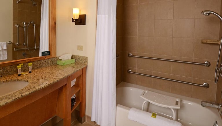 The bathroom in the accessible Gray Wolf Suite